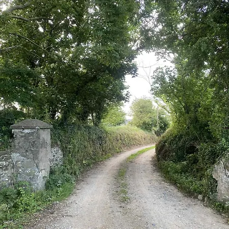 The Olde